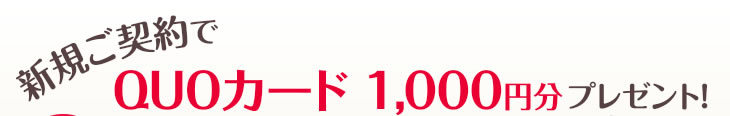 新規ご契約でQUOカード1,000円分プレゼント！