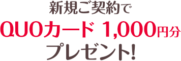 新規ご契約でQUOカード1,000円分プレゼント！